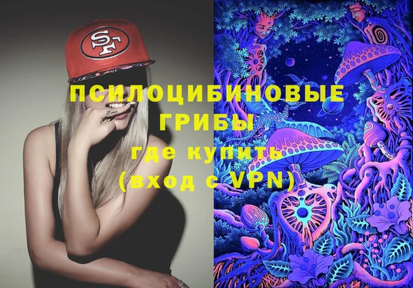 гашик Баксан